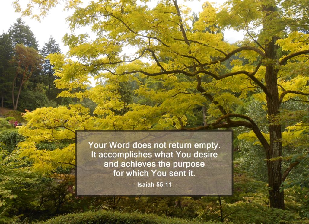 Your Word